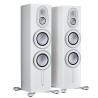 Monitor Audio Platinum 300 3G - Diffusori Hi-Fi & Home Theatre 3 Vie da Pavimento