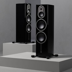 Monitor Audio Platinum 300 3G - Diffusori Hi-Fi & Home Theatre 3 Vie da Pavimento