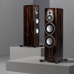 Monitor Audio Platinum 300 3G - Diffusori Hi-Fi & Home Theatre 3 Vie da Pavimento