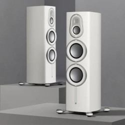 Monitor Audio Platinum 300 3G - Diffusori Hi-Fi & Home Theatre 3 Vie da Pavimento