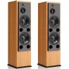 ATC SCM200 - Diffusori Hi-Fi 3 Vie da Pavimento