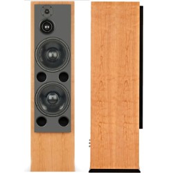 ATC SCM200ASLT - Diffusori Attivi Hi-Fi 3 Vie da Pavimento