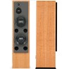 ATC SCM200ASLT - Diffusori Attivi Hi-Fi 3 Vie da Pavimento