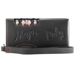 Chord Electronics Poly – Streamer Music Player per Mojo 2
