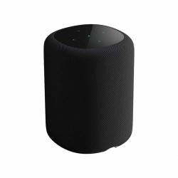 WiiM Sound - Diffusore Attivo Smart Wireless