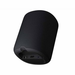 WiiM Sound - Diffusore Attivo Smart Wireless