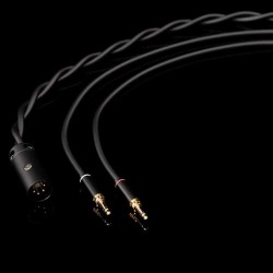 Final Audio D8000 DC - Cuffia Hi-Fi On-Ear