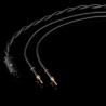 Final Audio D8000 DC - Cuffia Hi-Fi On-Ear