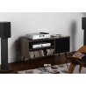 Rotel A10 MKII - Amplificatore Integrato Stereo Hi-Fi