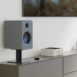 Kanto REN - Diffusori Hi-Fi Amplificati da Stand/Libreria