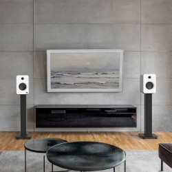Kanto REN - Diffusori Hi-Fi Amplificati da Stand/Libreria